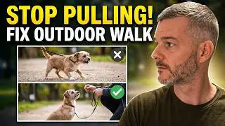 From House Success to Outdoor Chaos: The Missing Link in Dog Training!