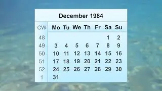 December 1984 Calendar