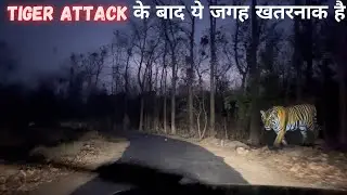 Night Drive Jim Corbett National Park | Tiger Attack | Maneater | Wildlife Stories in Hindi