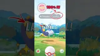 Выполнение испытания &laquo;Последний бросок&raquo; на легендарного покемона Шундо в Pokemon GO.