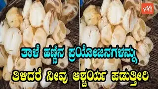 ತಾಳೆ ಹಣ್ಣು | Surprising Health Benefits of Ice Apple | YOYO Kannada News