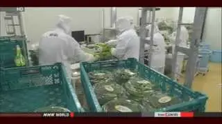 Fukushima News 1/15/14:Unit 4 Spent Fuel Rod Removal-154/1533;Tepco Workers Threatened With Death