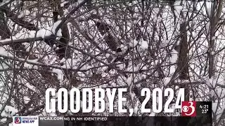 Stuck in Vermont: Looking back on 2024 with Eva Sollberger