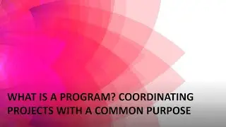 What is a Program? Coordinating projects with a common purpose