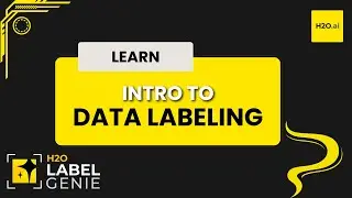 Introduction to Data Labeling | H2O Label Genie Starter Track - Part 1