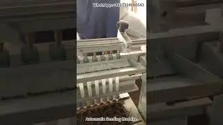 Automatic Tray Seedling Machine - Precision Seeding for Higher Germination Rates!