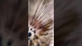 o no😲