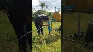 He make impressive manaul water pump from the deep well without electricity #shorts #diy #freeenergy