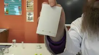 BTEC Unit 2 Learning Aim C paper chromatography plant pigments