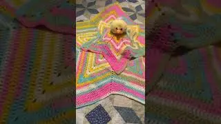 Lion Brand Ice Cream Yarn