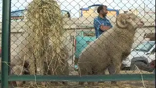 Heartbreak as Kashmiris struggle to prepare for Eid | AFP