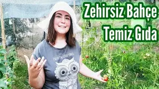Zehirsiz Bah&ccedil;e Temiz Gıda | Hedefimiz Hasatı Arttırmak mı? &Ccedil;OK Bazen YOKtur | Az Olsun Temiz Olsun