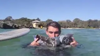 Noosa Surfing Magazine