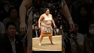 Sumo Pahalwan Amazing Facts 😮🤼 #viral #short #shortsfeed