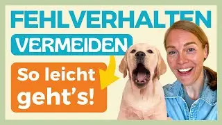 🫣 90% der Hundebesitzer f&ouml;rdern unbewusst Fehlverhalten, inkl. Leinenaggression. Du etwa auch? 😬