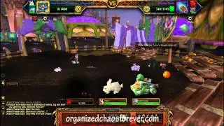 Jeremy Feasel - 2 Pet Strategy