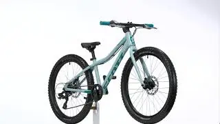 SCOTT CONTESSA 24