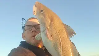 Sea Fishing - Cod Quest - Boat - Bristol Channel, Weston-super-Mare, Somerset, UK