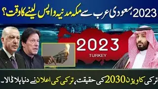 Tayyab Erdogan Vision 2030 | Turkey Vision 2030