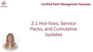 Module 2 Part 1: Types of Patches and Prioritization | Patch Plan CPMA Training