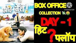 Ohh Teri | Box Office Collection 💸🤑 | Elsa Ghosh 