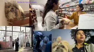 स्टेला को ले जाना पड़ा हॉस्पिटल#Haldwani #best hospital 🏥pet ￼