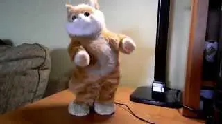 Обзор танцующая колонка - кот (Party Animal Dancing Speakers)
