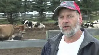 Hehli Family Dairy