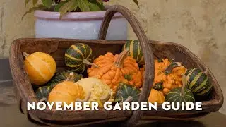 STIHL November Garden Guide with Jane Moore | November Gardening Jobs | STIHL GB