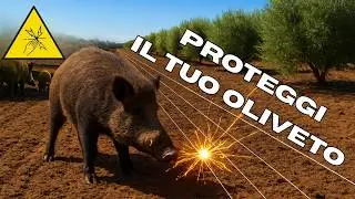 L'UNICO METODO che FUNZIONA