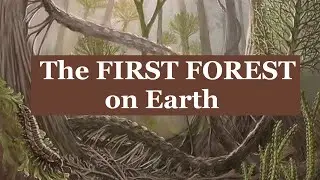 The first forest on Planet Earth | Late Devonian era