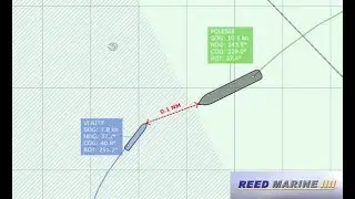 Verity collision with Polesie