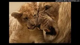 Fame & Shame - Celebrities, Leaders, Family & Friends