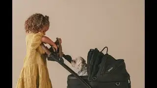 Tavo Pets | Pet Car Seat & Stroller Combo | Pet Protection Reimagined | From the Makers of Nuna