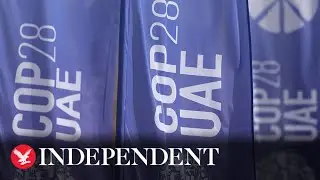 Watch again: Plenary meeting of Cop, CMP, CMA held at climate conference