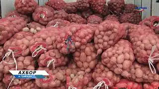 5 февраля 2026 г.