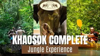 Khaosok Complete Jungle Experience | Elephant Hills Thailand