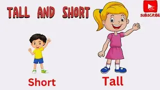 Tall and Short | Tall and short for kids | Tall and short in English | Little Brainsss
