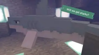 Are We Getting Sharks In Update Aquatic!!?