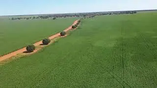 Spencer & Bennett | Headricks &ndash; 'Wilga Station', Hillston NSW