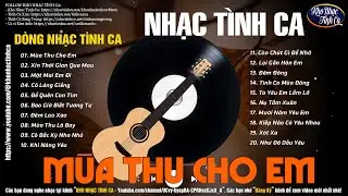 Dòng Nhạc Tình Ca Hải Ngoại Tha Thiết Vô Cùng | Nhạc Xưa Bất Hủ Đặc Sắc Càng Nghe Càng Mê