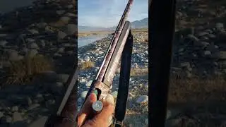 kral A12 shotgun made turkey 🇹🇷 #shotgun #duck #reels