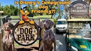 Is Fort Wilderness the Ultimate Dog-Friendly Campground? Our Honest Review of the dog park!