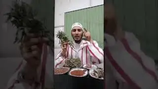 السالمية ومنافعها في علاج أمراض كثيرة