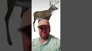 Buck Decoy Fail!!! #hunting #deerhunting #bowhunting #bigbucks #deer