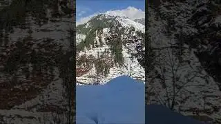 Most Relaxing Quran Recitation in Nature | Shorts