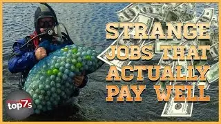 Top 7 Strange Jobs That Actually Pay Well
