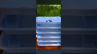 I woke up to a video on my phone (part 1)