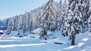 Live manali || Snowfall manali || mall road manali ||
