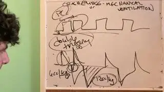 NYC DOC : VENT CRASH COURSE : 4. PATIENT-VENTILATOR INTERACTION